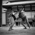 Le Sumo