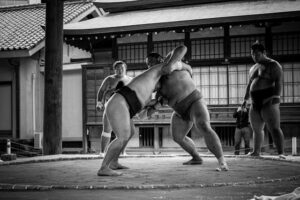 Le Sumo