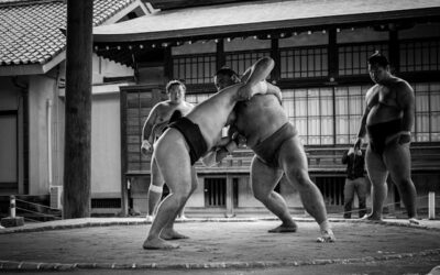 Le Sumo