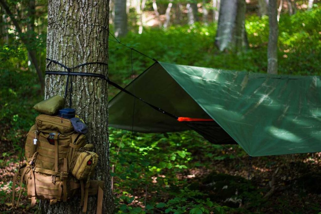Sac à dos fixé à un arbre, hamac sous bâche verte