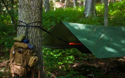 Sac à dos fixé à un arbre, hamac sous bâche verte